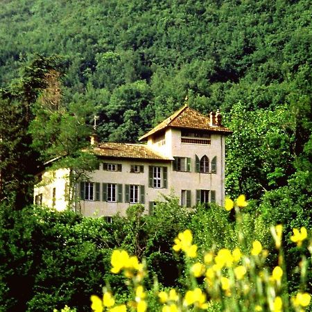 Domaine Du Parais B&B ソスペル エクステリア 写真