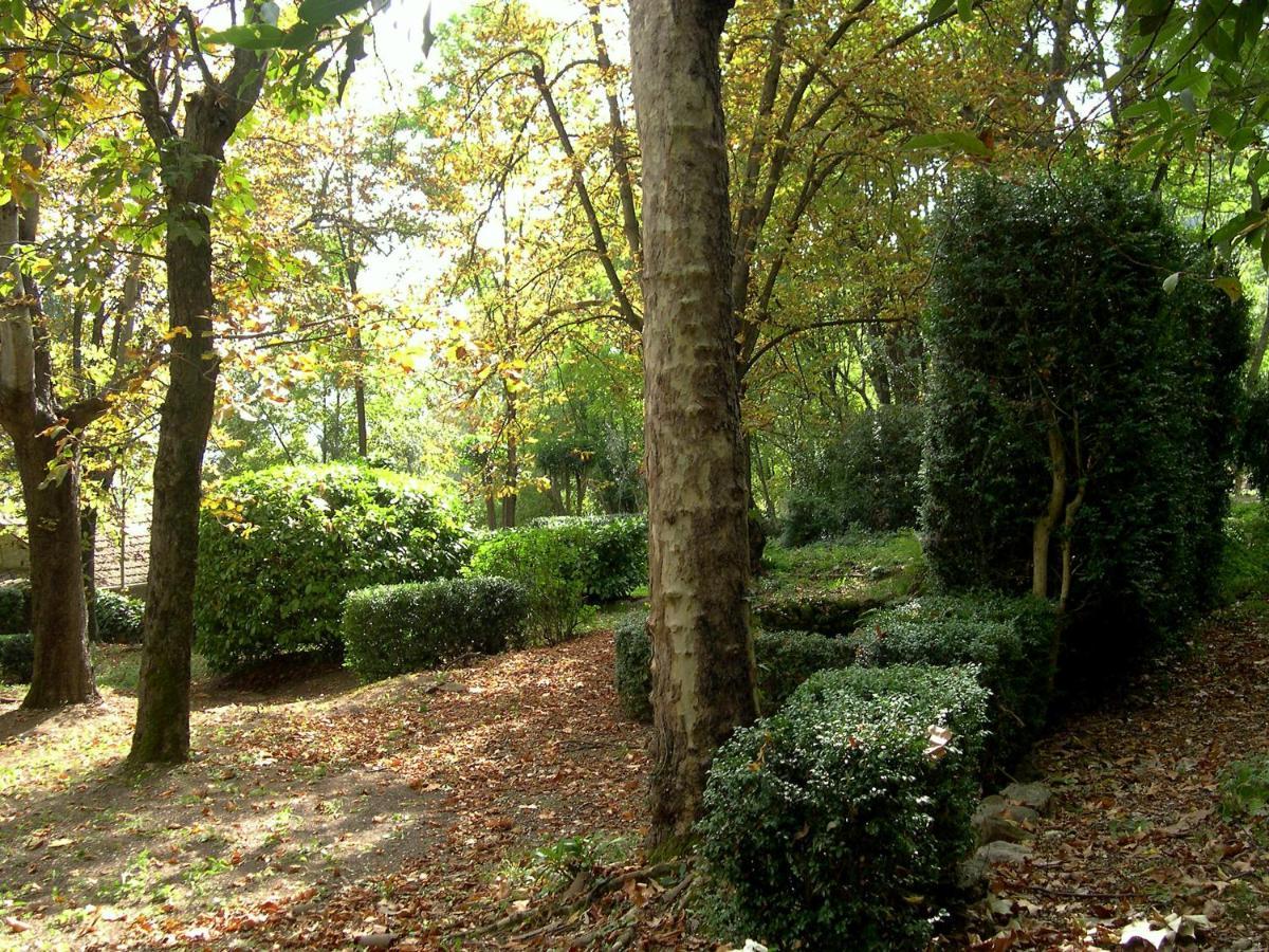 Domaine Du Parais B&B ソスペル エクステリア 写真