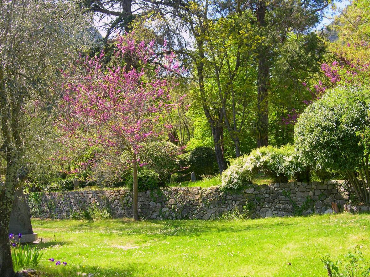 Domaine Du Parais B&B ソスペル エクステリア 写真
